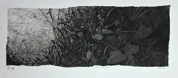 Voir le jour (To See the Day)