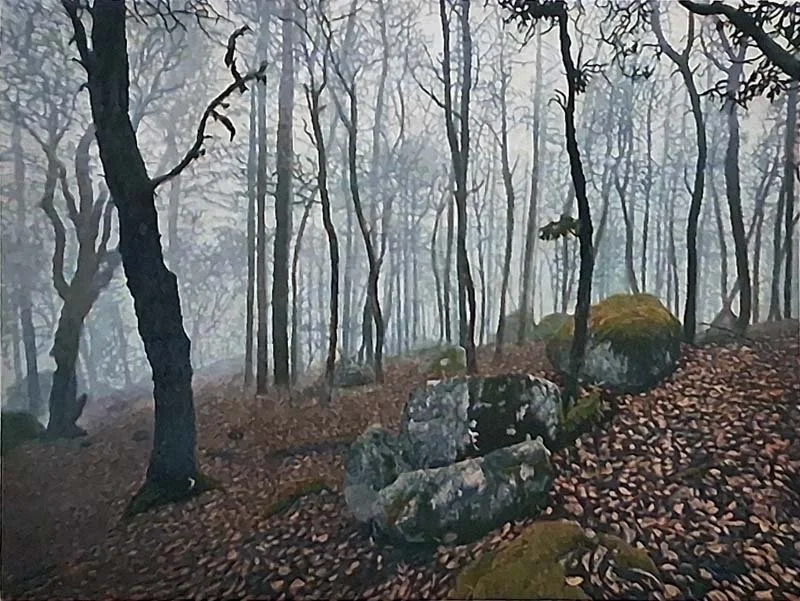 Ashland Woods AP IV.jpg