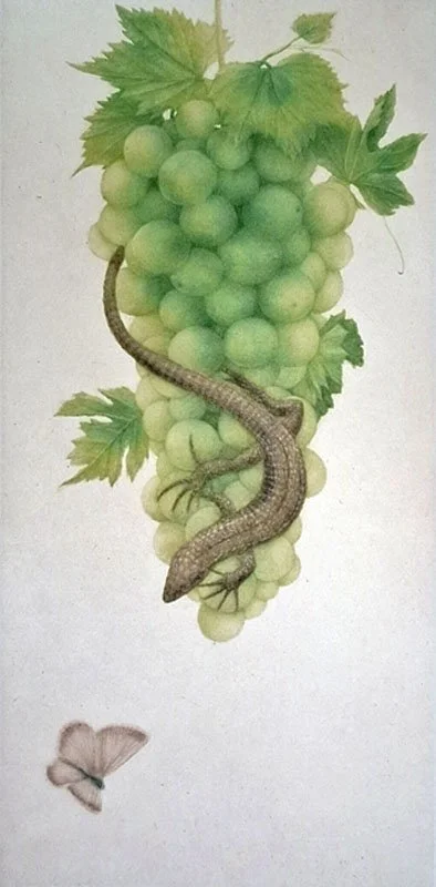 Échappée belle 15  .jpg