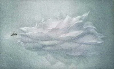 Narcisse 57.jpg