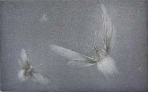 Premiere neige 49.jpg