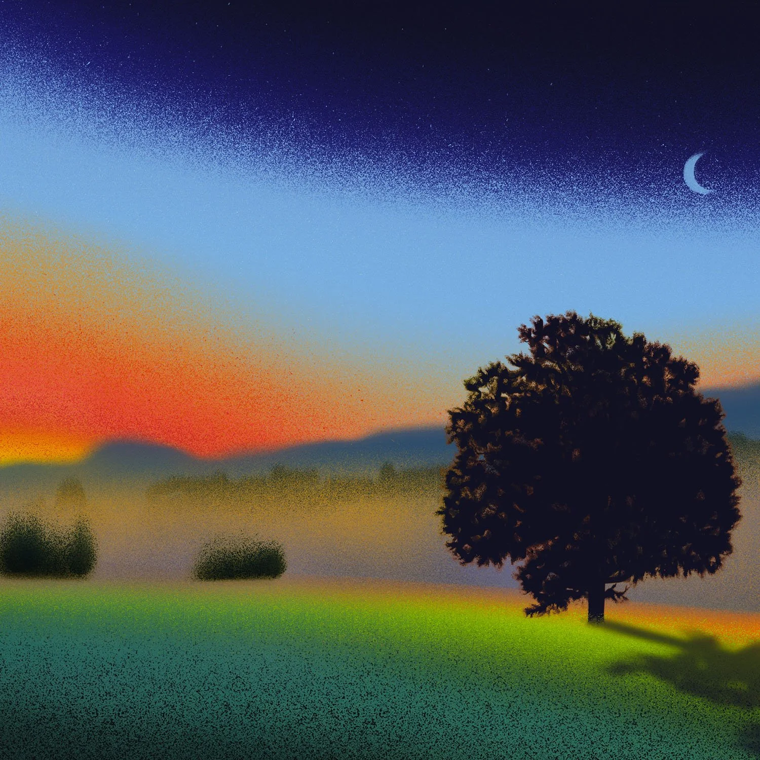 TREE.jpg