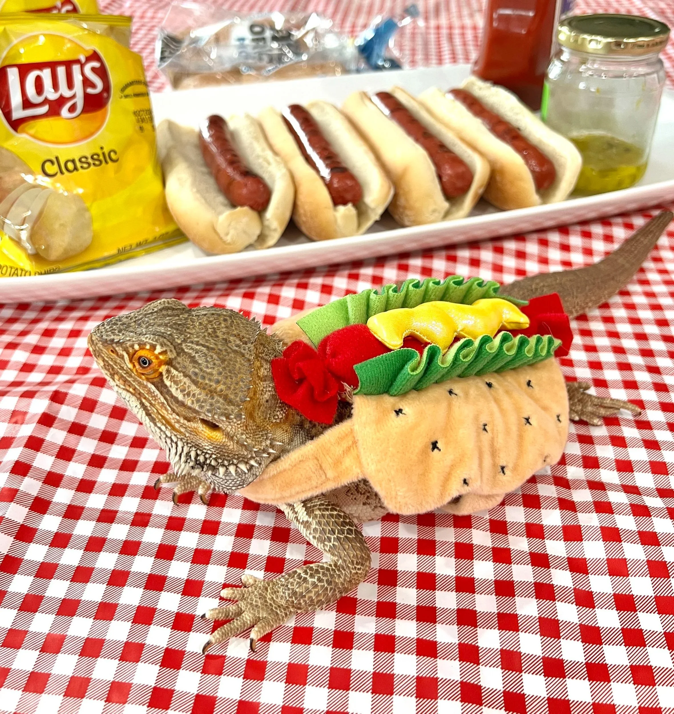 I relish a chance to dress up. 