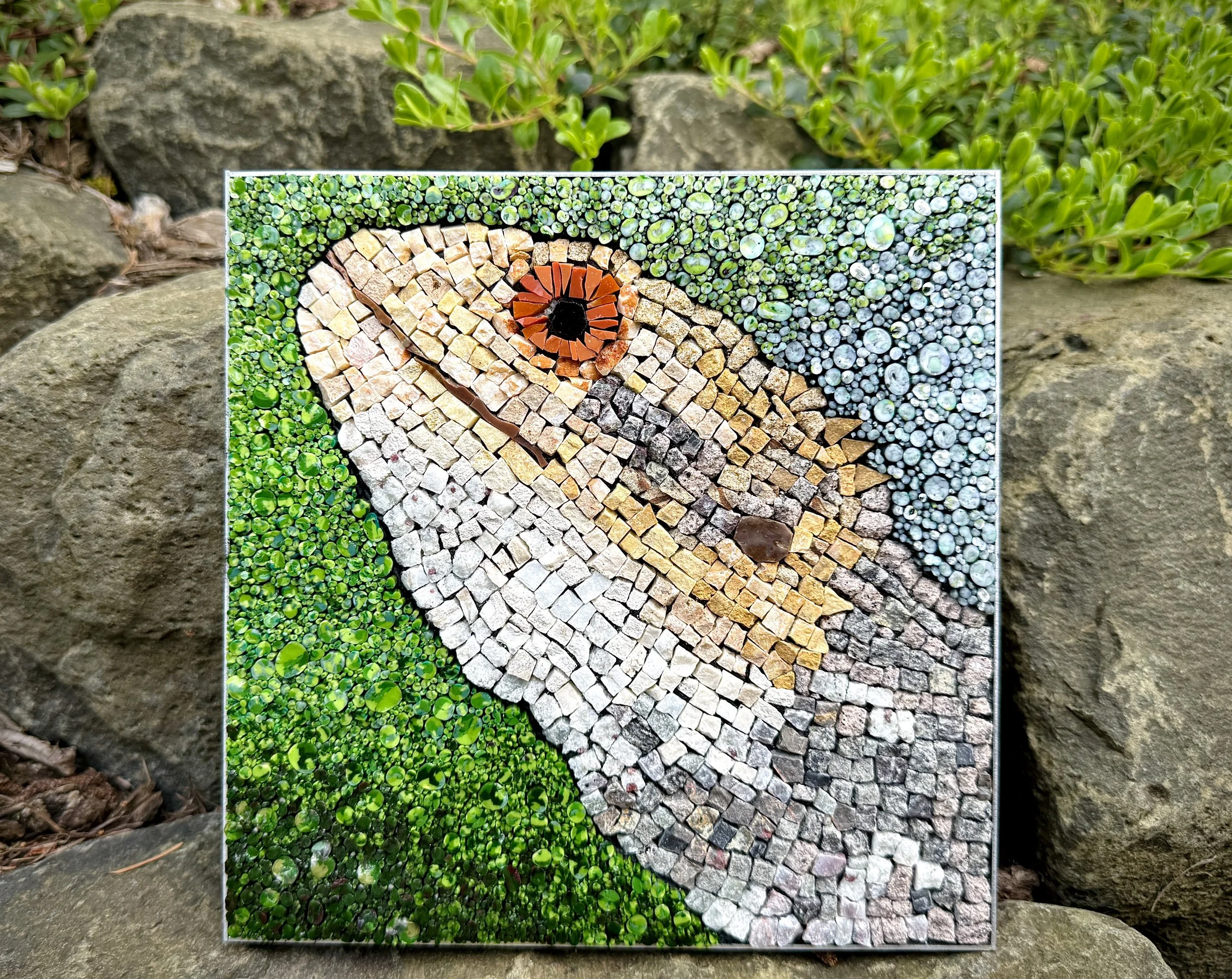 Clever Lizard