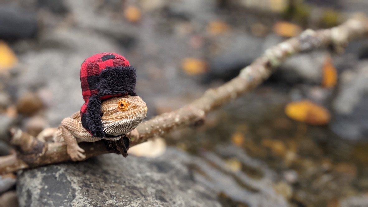 Cold hands, warm heart.