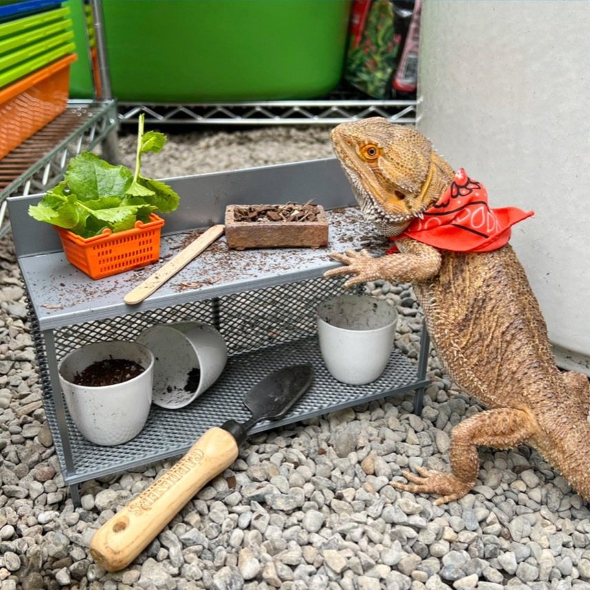 Gardening is sow much fun.