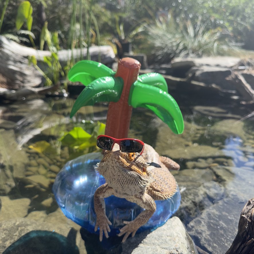 Tropic like it's hot.