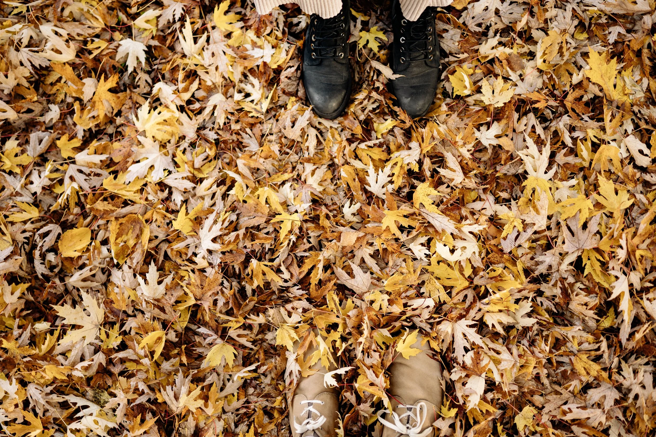 Conflict Is Part of a Healthy Relationship: How Couples Can Reconnect After an Argument