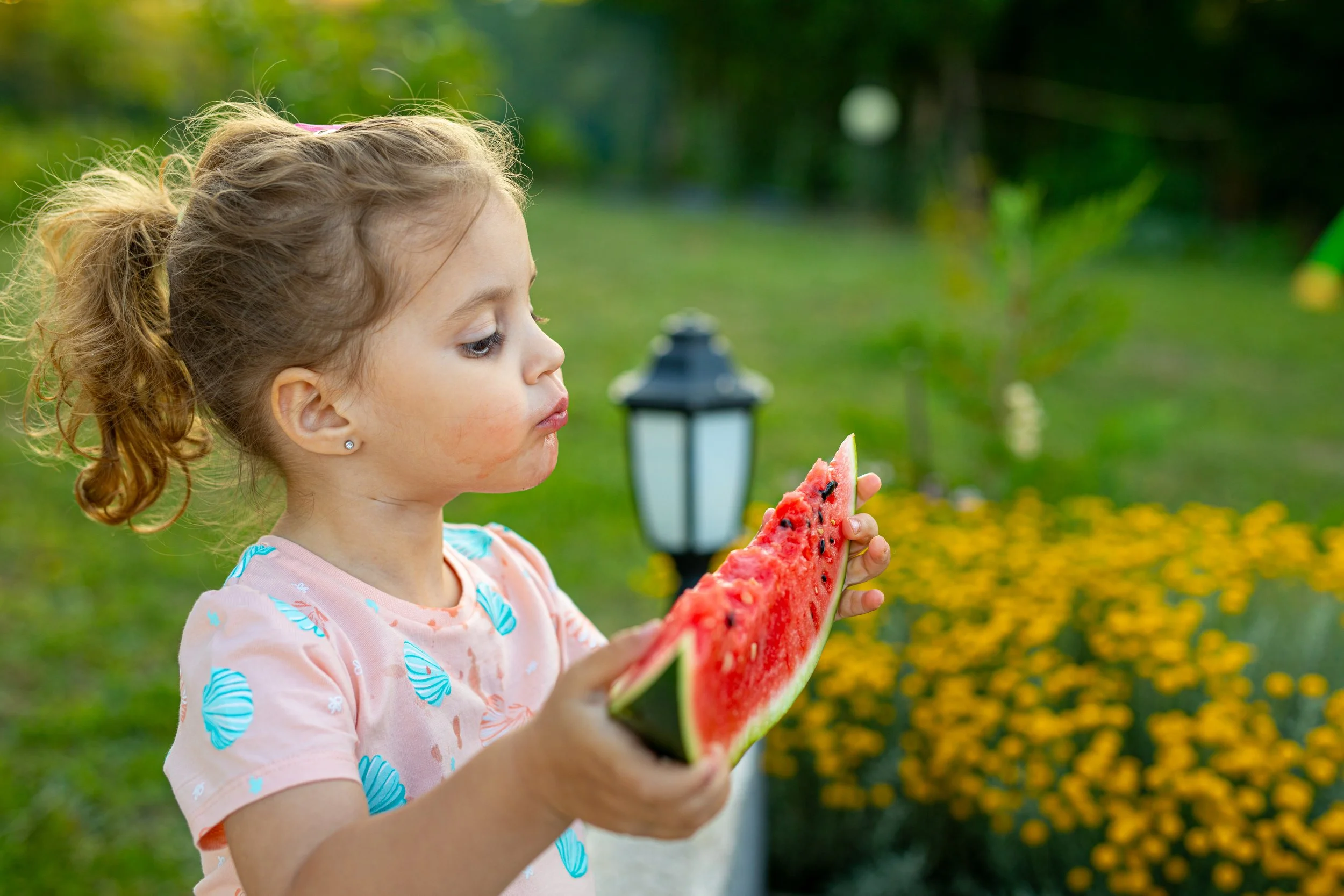 Young girl with curly hair in pigtails eating a large slice of watermelon outdoors on a sunny day.