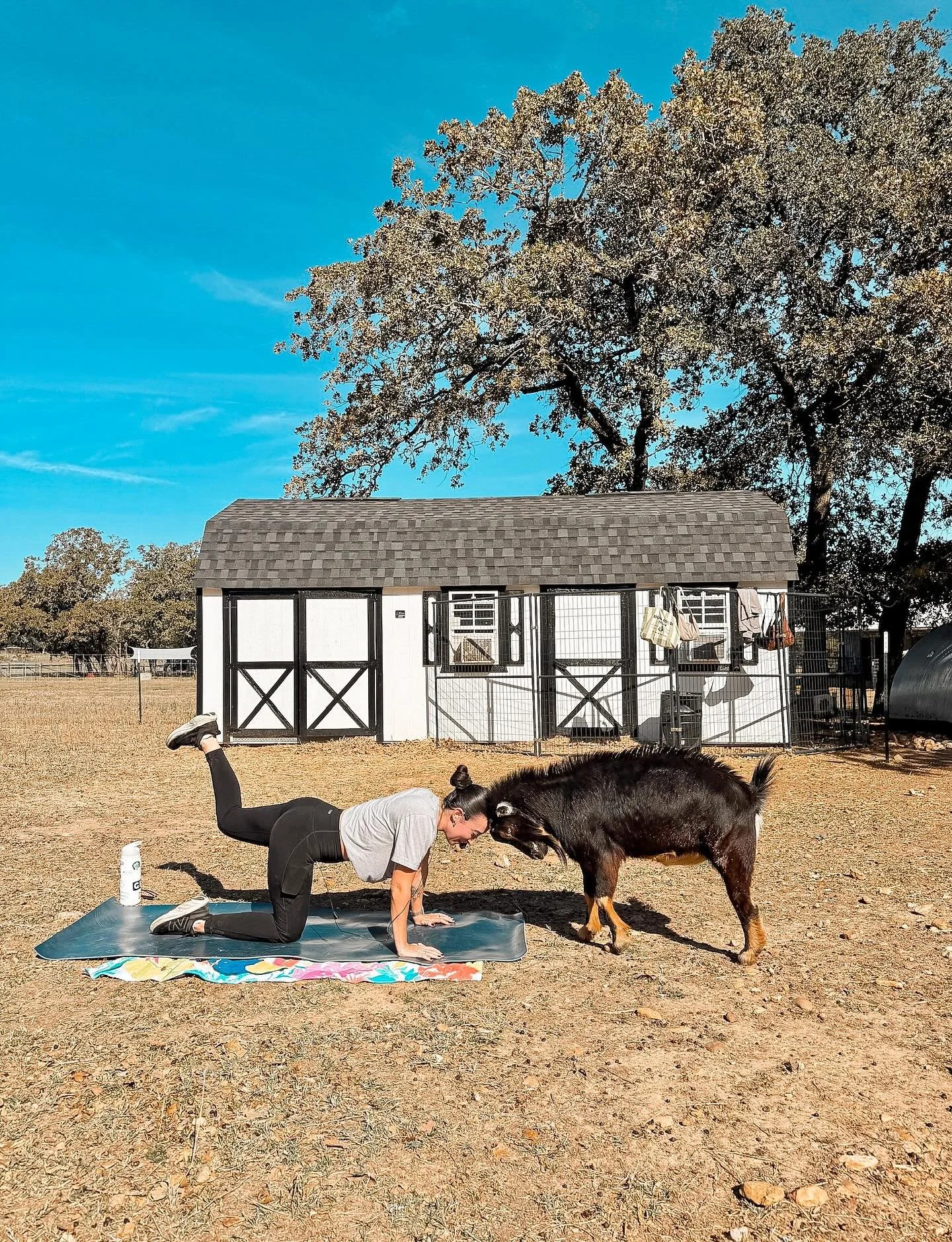 Beyond grateful for all of the support at our very first @austinfarmsanctuary Barre &amp; Baaas event! All proceeds from ticket sales and donations go toward helping these sweet animals live their best lives on the farm 💕🐐✨

A special shoutout to o