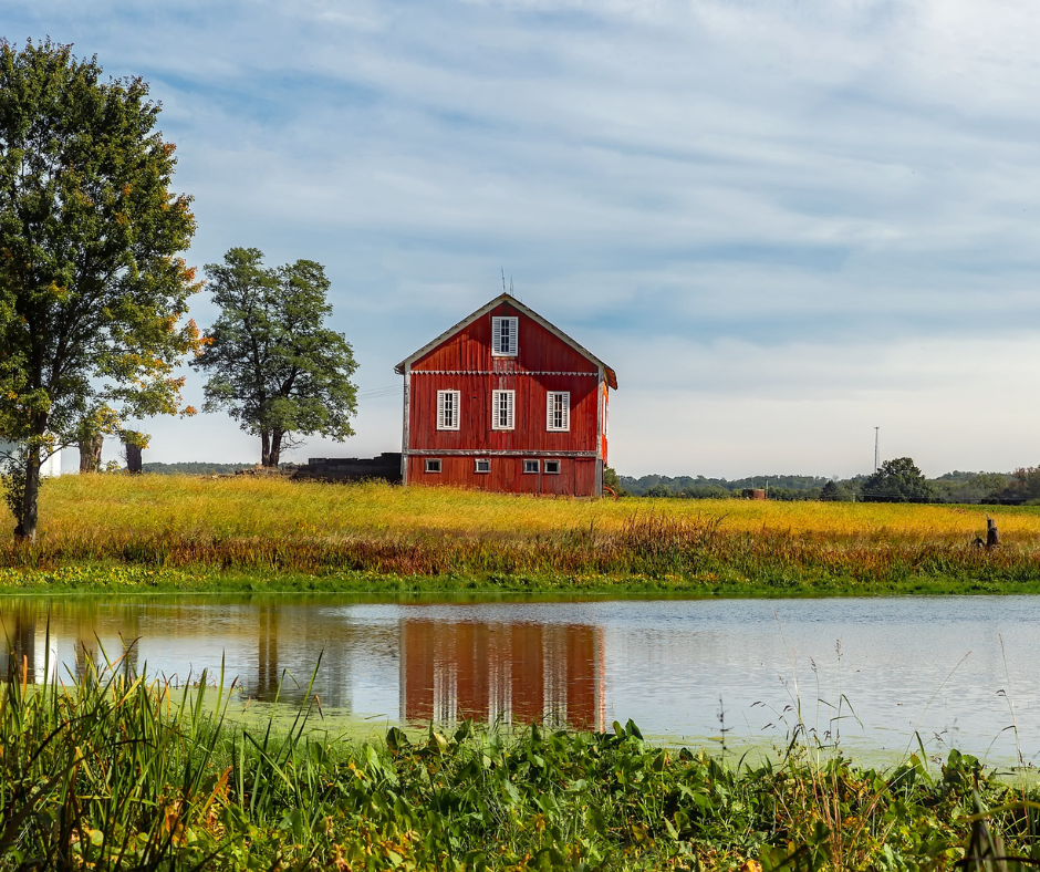 MS - Website Photos.png