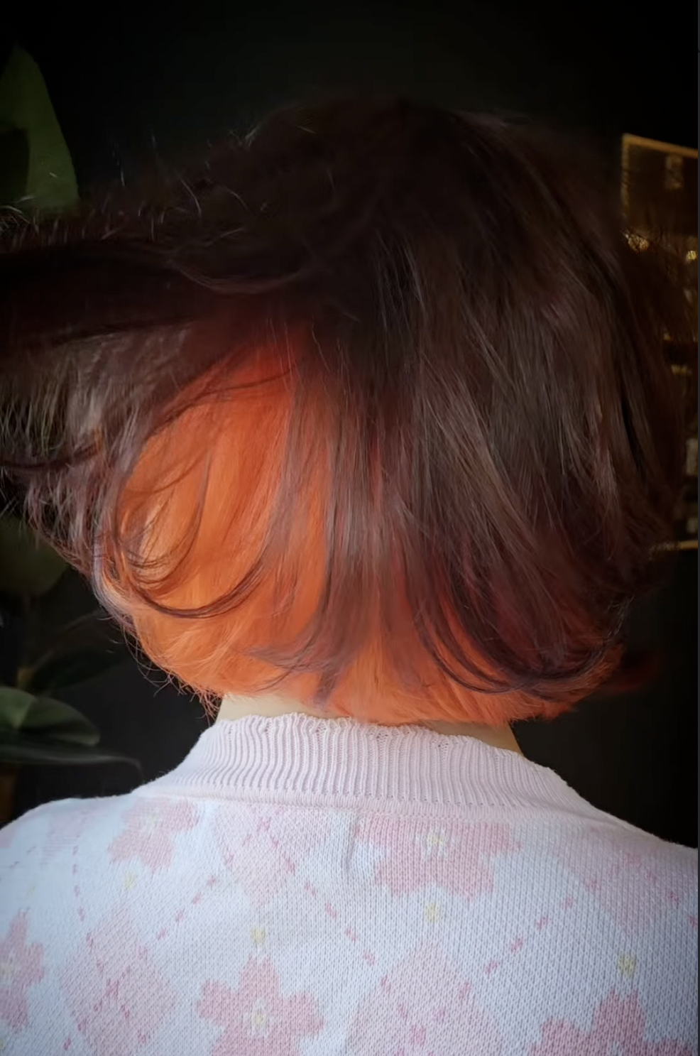 Screenshot 2026-03-27 at 6.56.47 AM.png