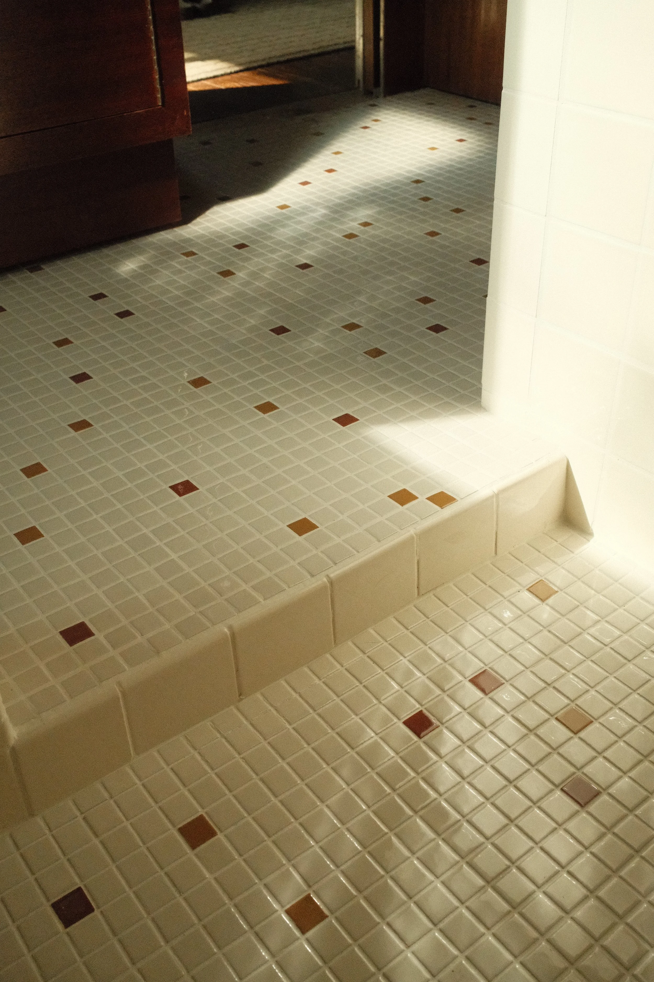 Unflipping floor that shows step down into shower