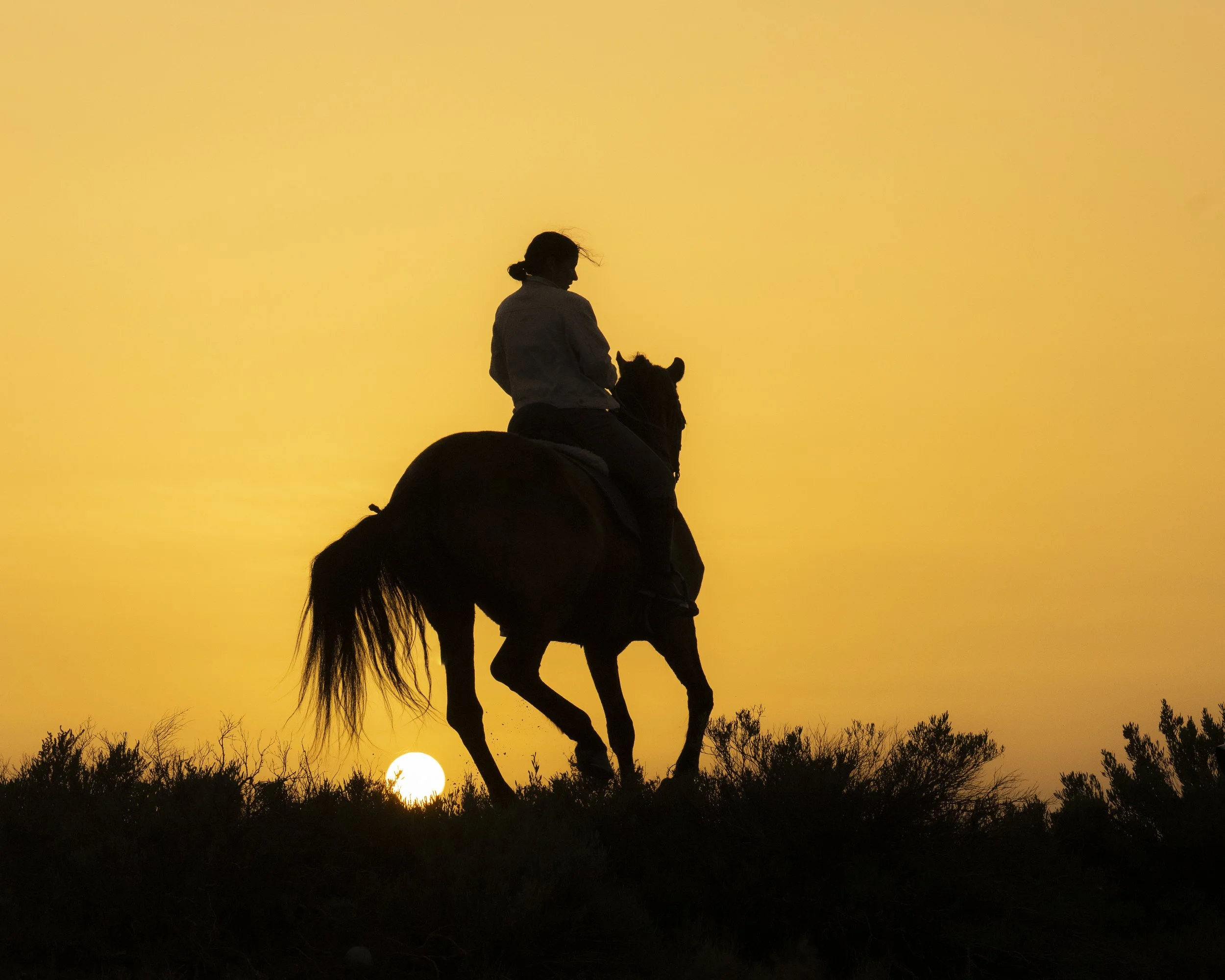Silhouette of a woman riding a horse at sunset.