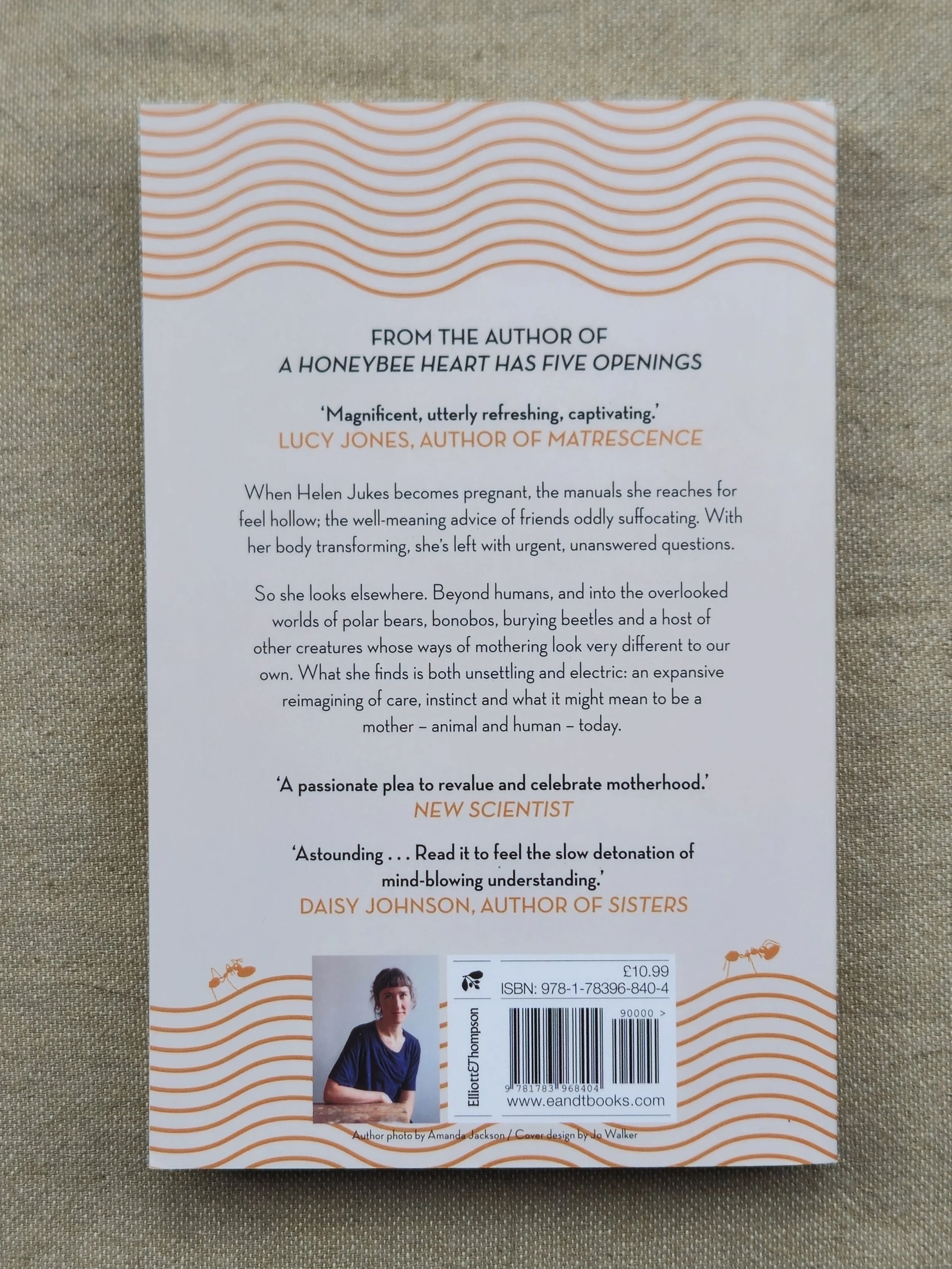 mother animal back.jpg