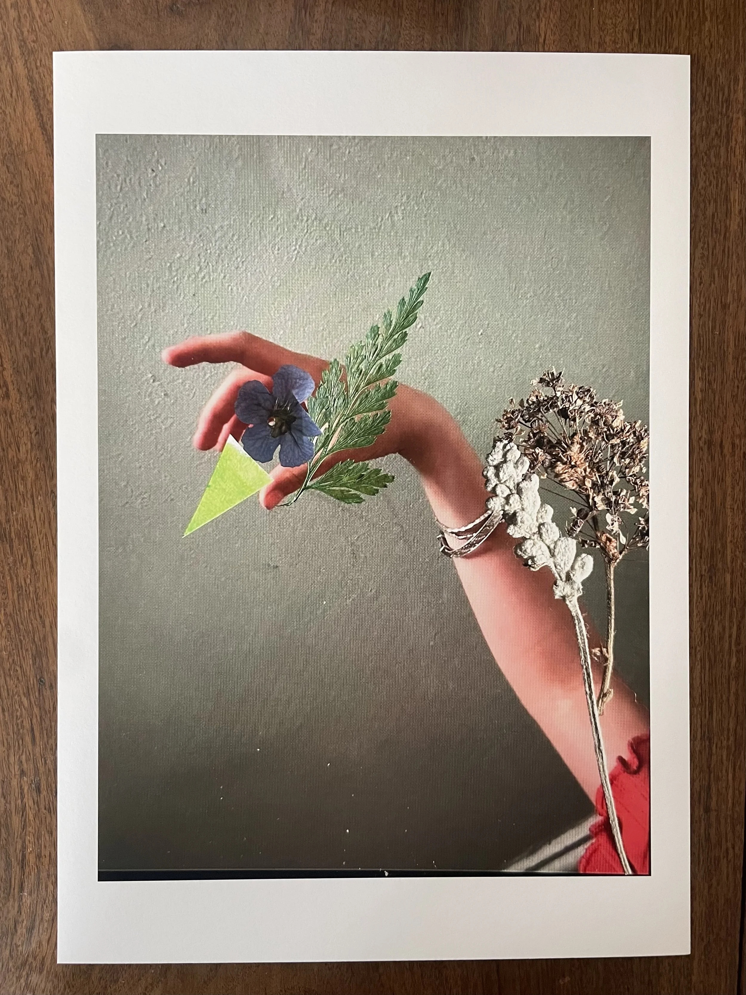 Birds of Play 1 - Lydia CS
