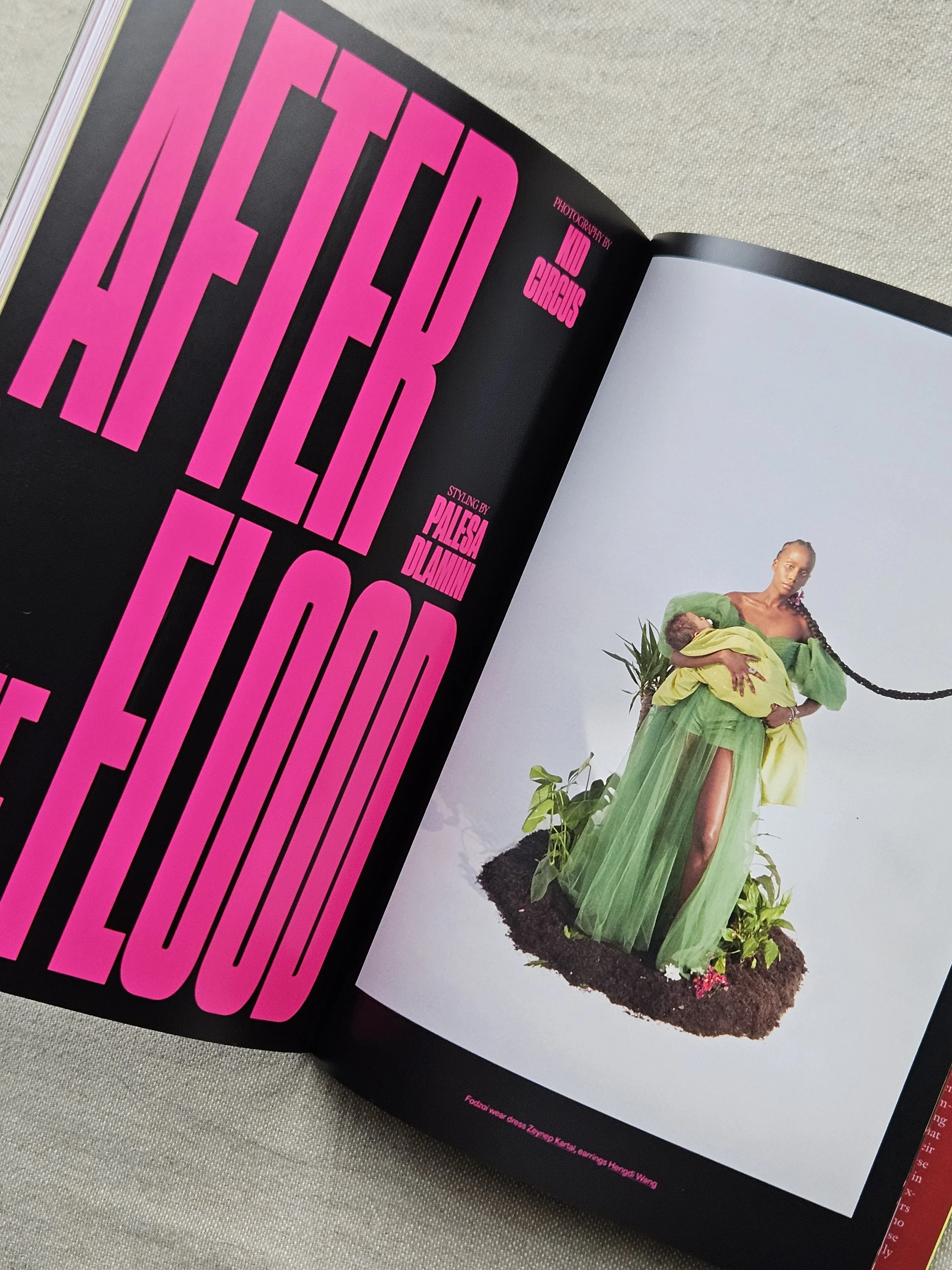 thiiird detail 3.jpg