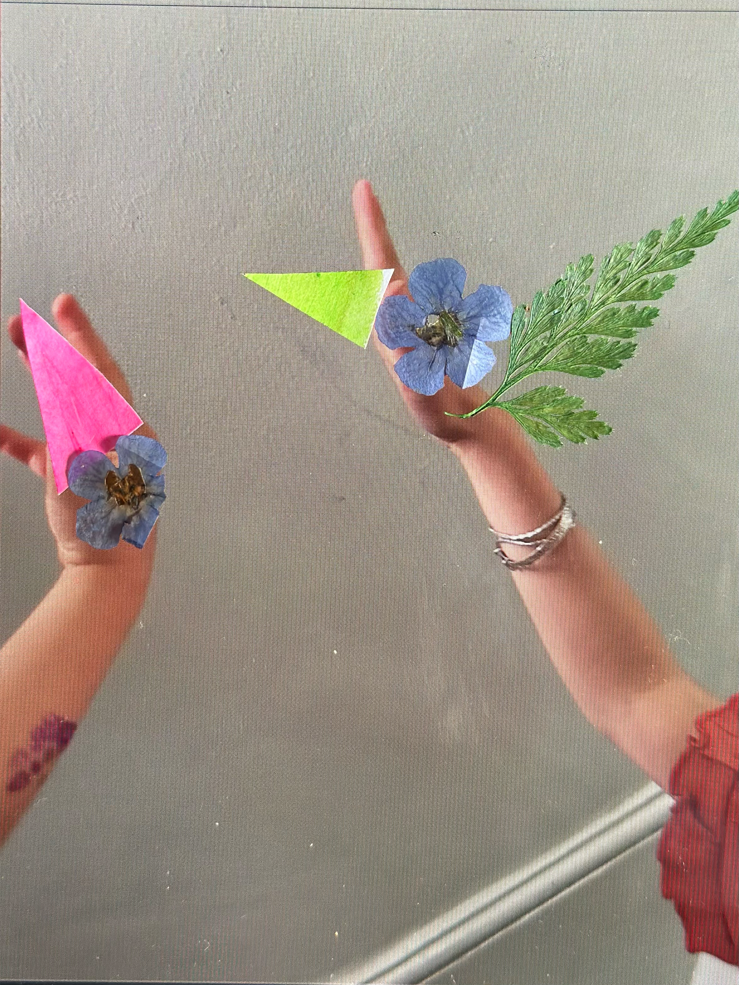 birds_of_play_3.png