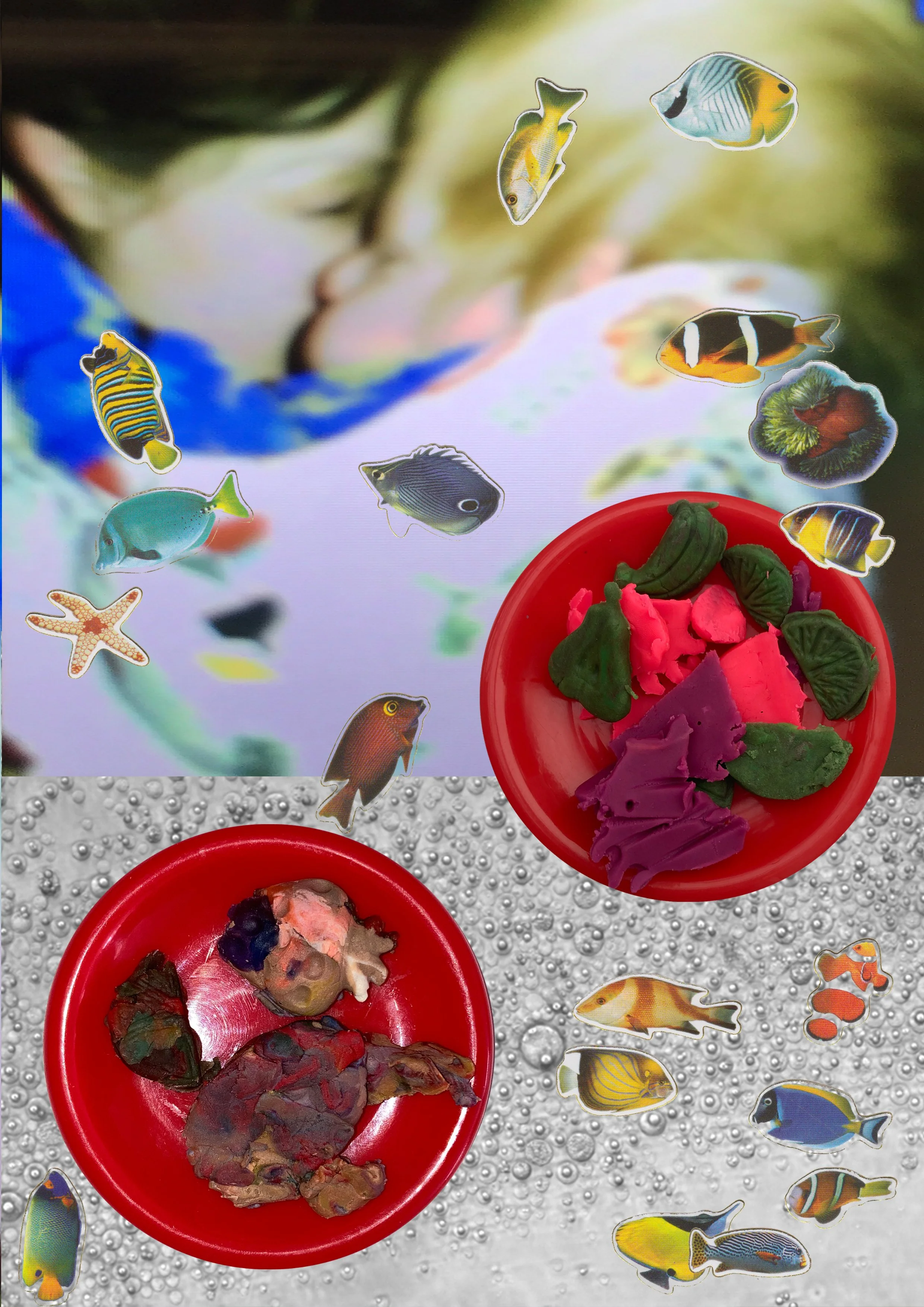 Camera Food Fish - Charlie Adamson-Hammond