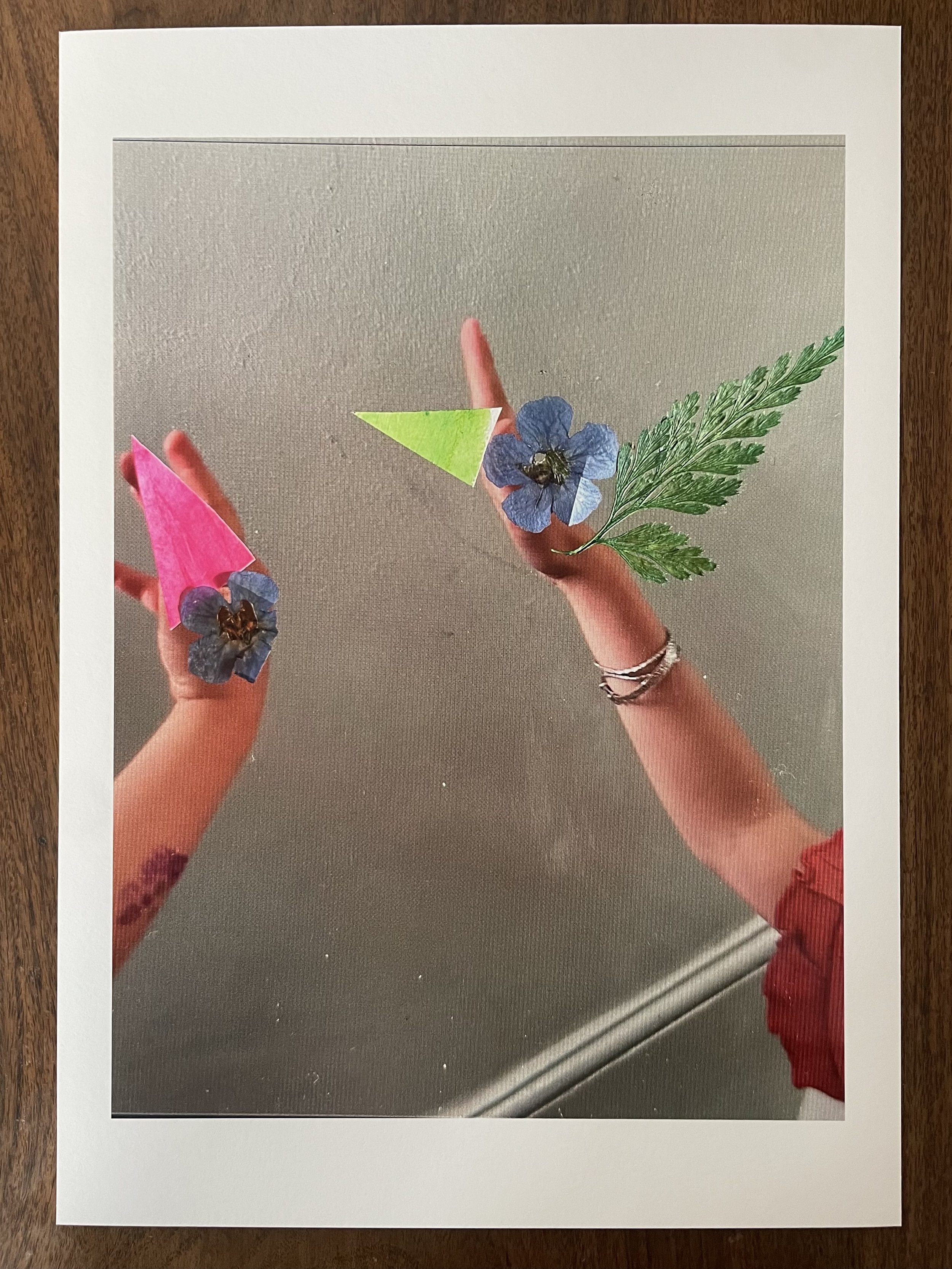 Birds of Play 3 - Lydia CS