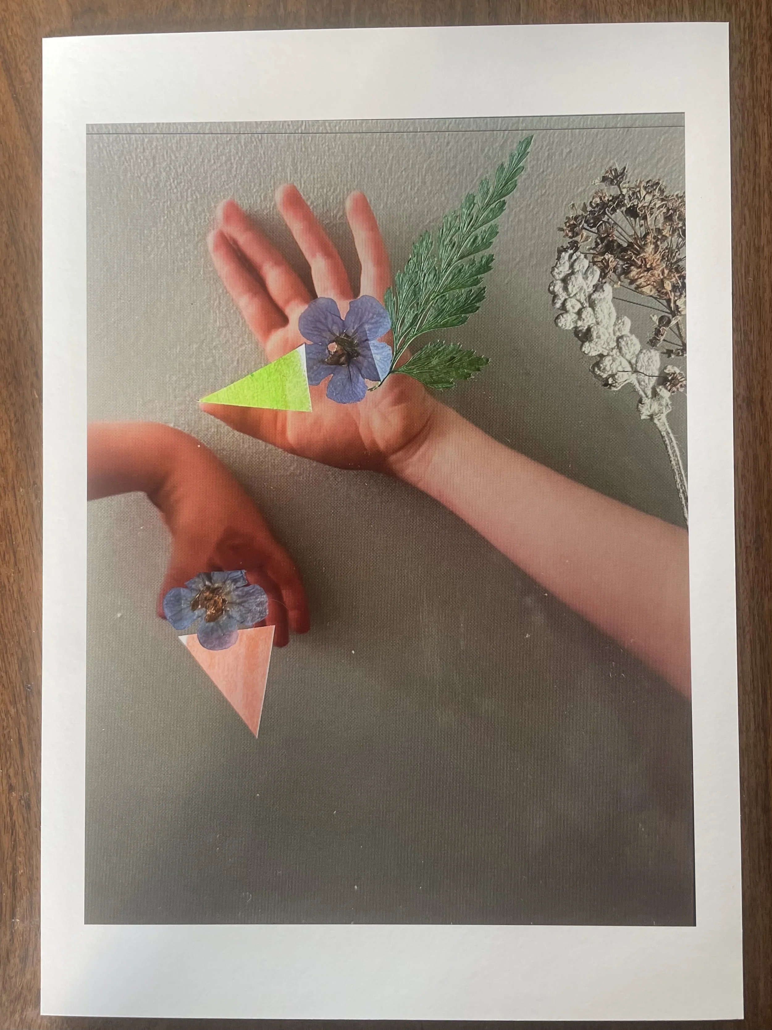 Birds of Play 2 - Lydia CS