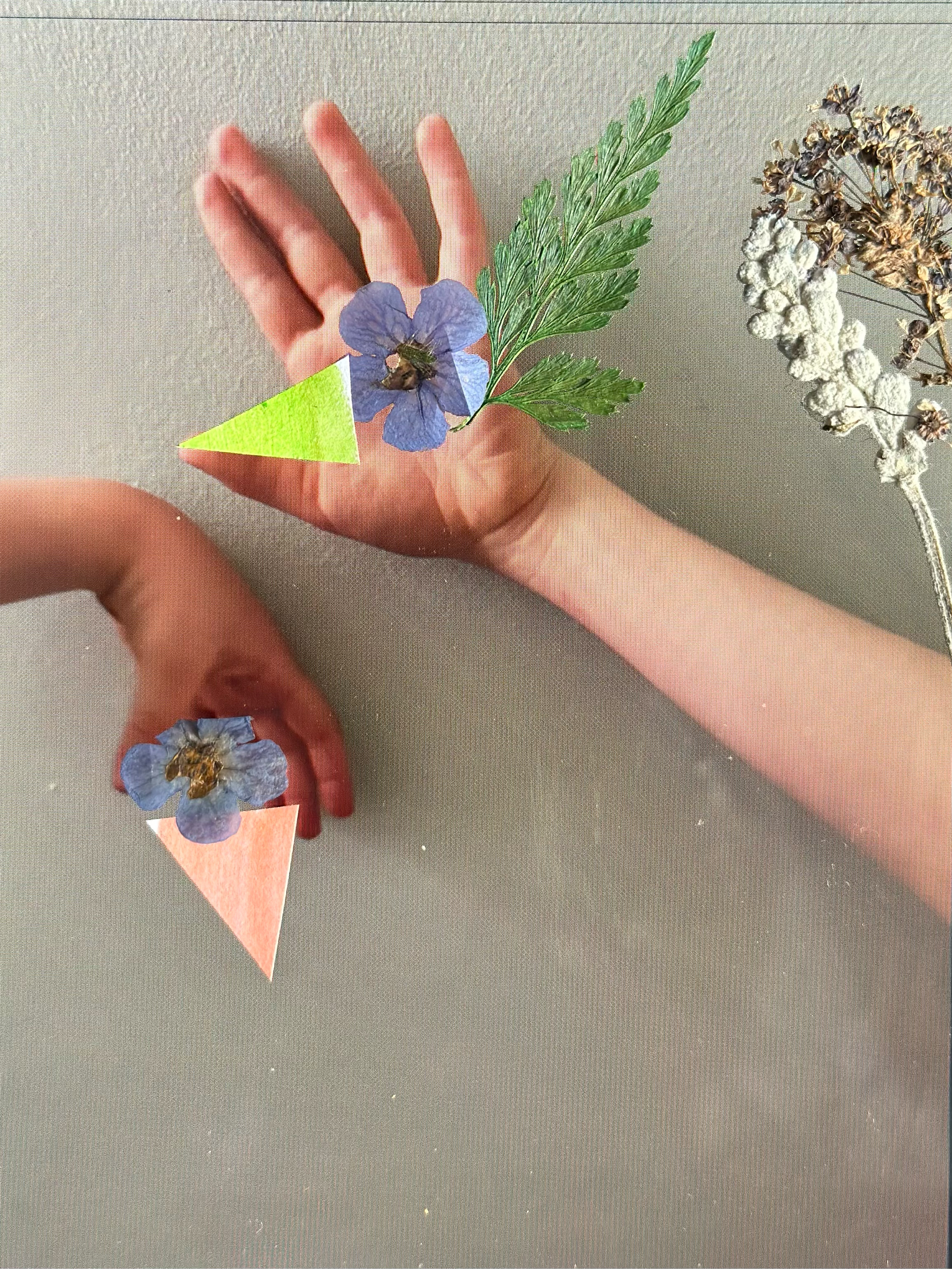 Birds of Play 2 - Lydia CS