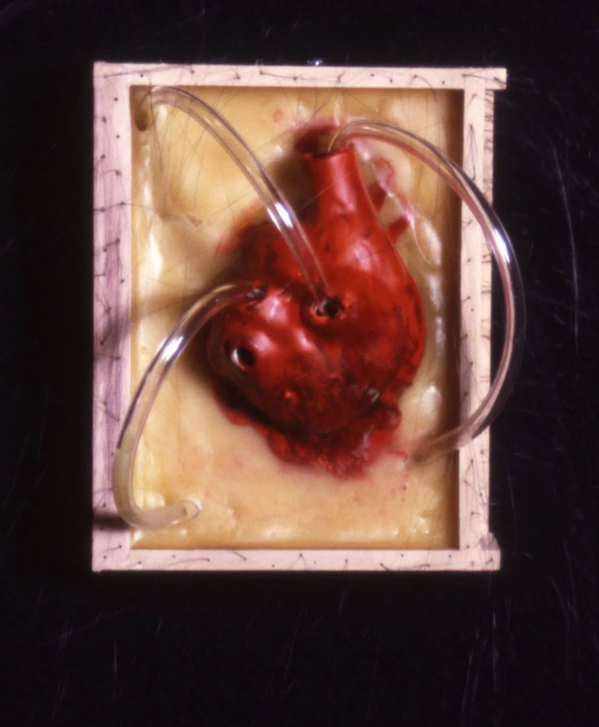 'Embedded', porcelain heart, bees wax, tubes, 4" x 6" x 5"