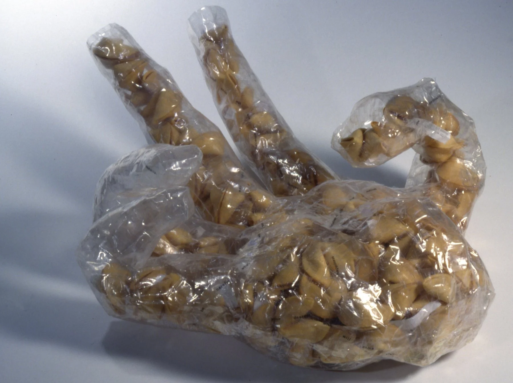 'Fortune Teller', 24" x 24", scotch tape hand + fortune cookies