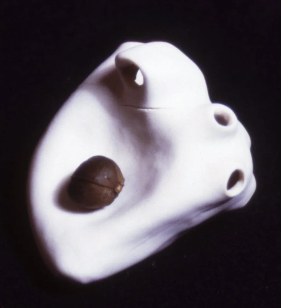 'Gravity', porcelain heart, seed, 4" x 5" x 4"