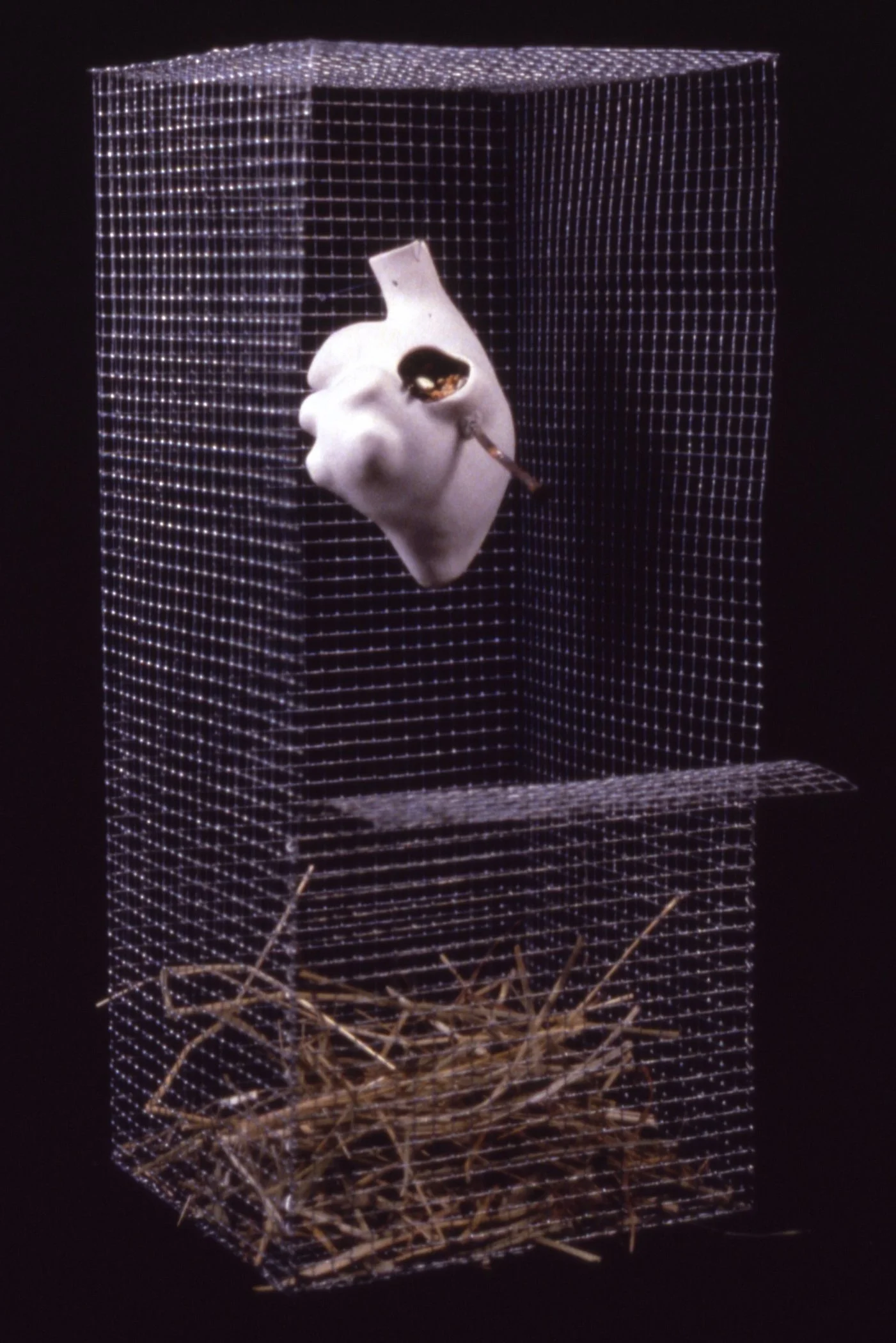 'Snare', porcelain heart, nail, mesh box, straw, 8" x 12" x 8"