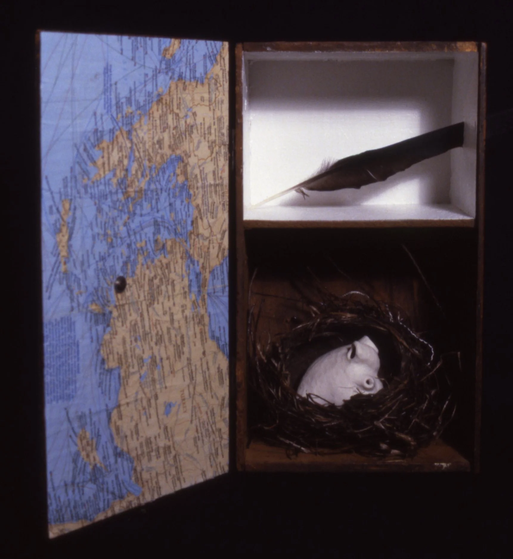 'Cyclic', porcelain heart, nest, feather, wood box, 8" x 14" x 7"