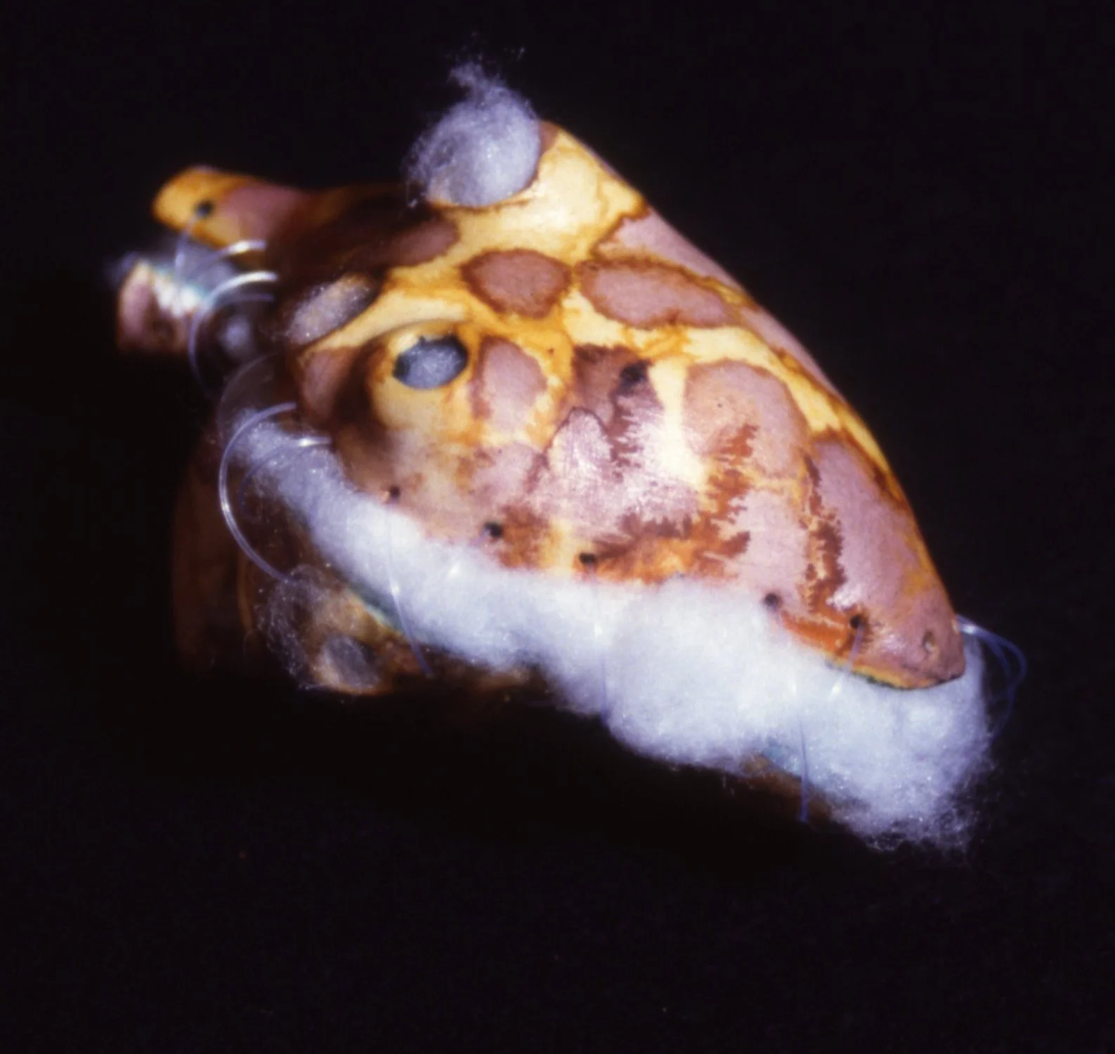 'Sate', porcelain heart, cotton wool, 3" x 3" x 3"