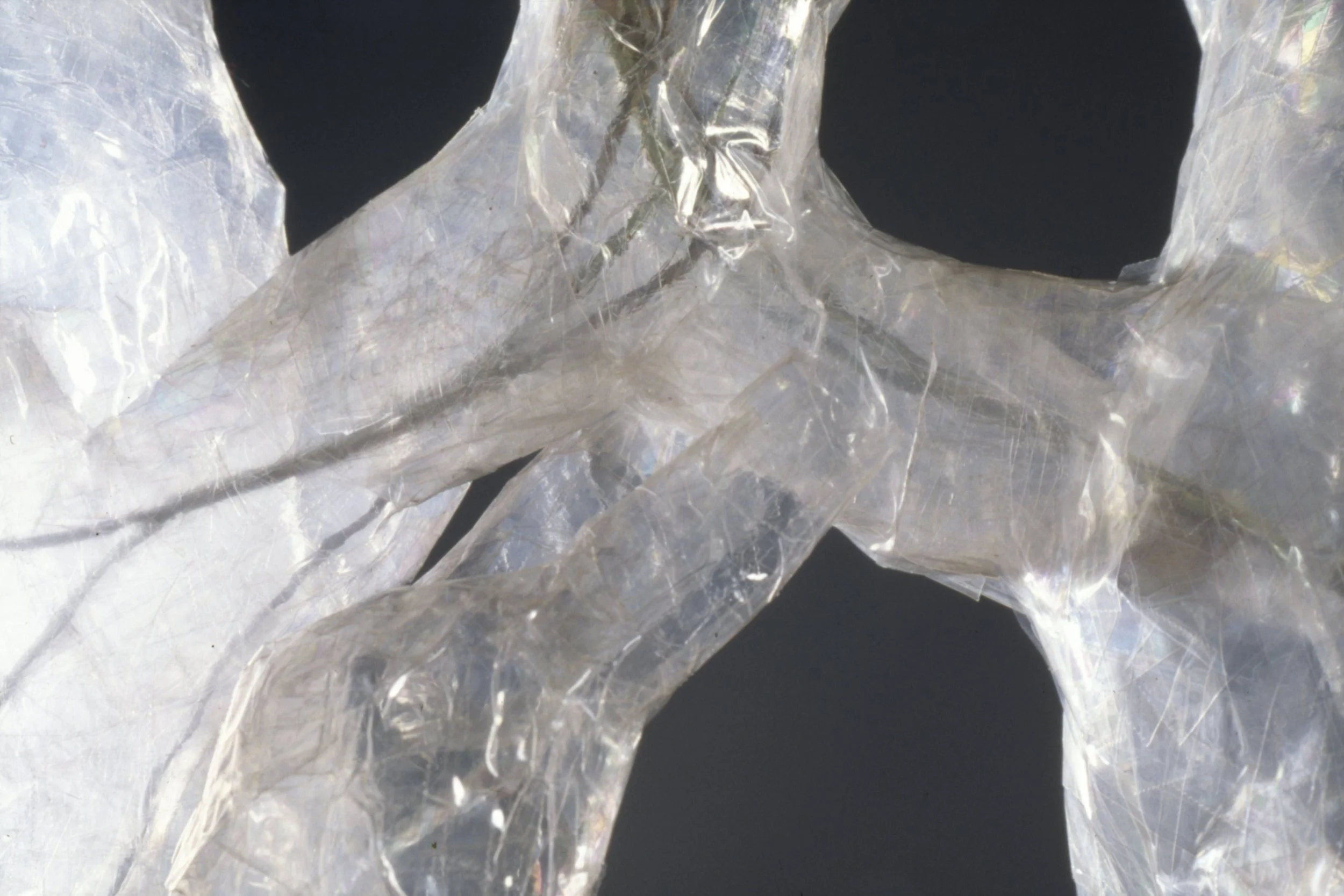 close up 'Cycle', scotch tape sculpture