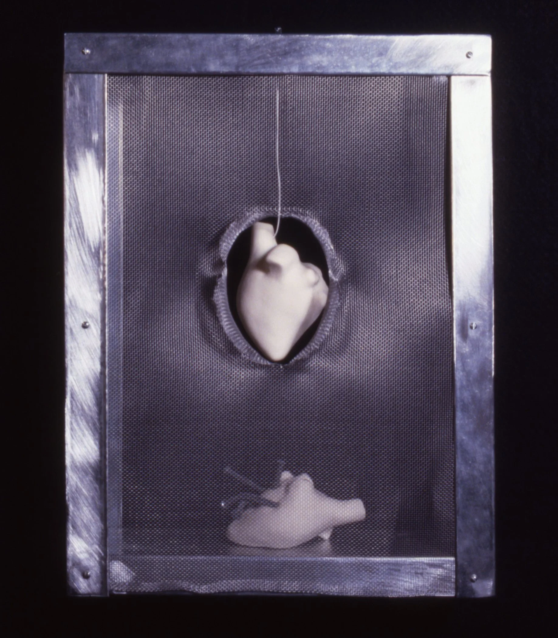 'Virtue + Vice', 2 porcelain hearts, aluminum, wire box, 12" x 16" x 5"