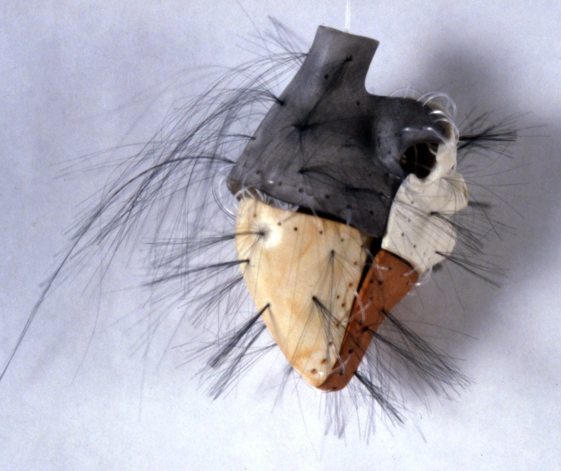 'Skin Deep', porcelain heart sectioned, filament, hair, 6" x 4" x 4"