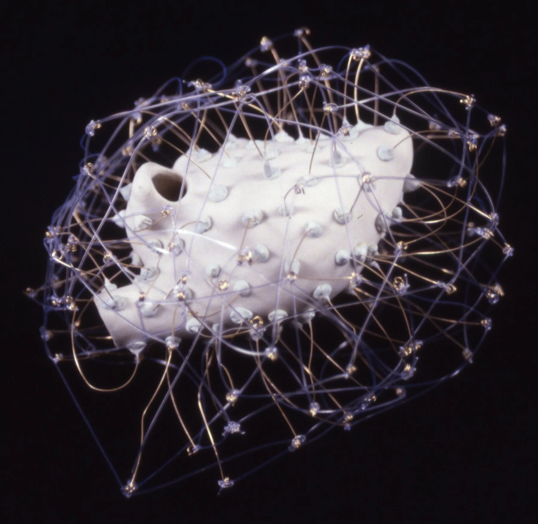 A white animal skull, possibly a small mammal, wrapped in a network of thin, glowing wires with small beads at the intersections, set against a dark background.