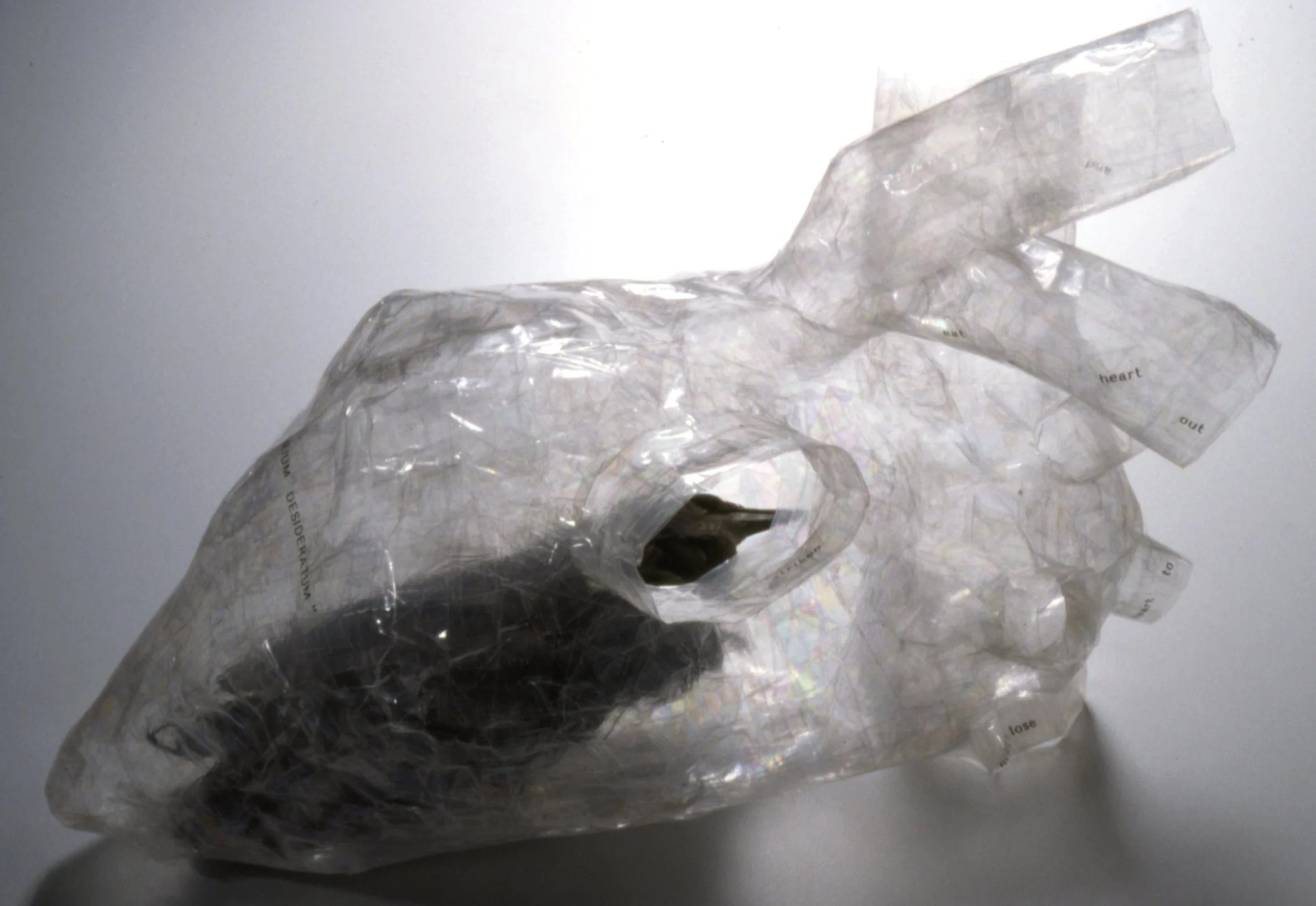 'Atrium Desideratum', 24" x 18", scotch tape sculpture + bird