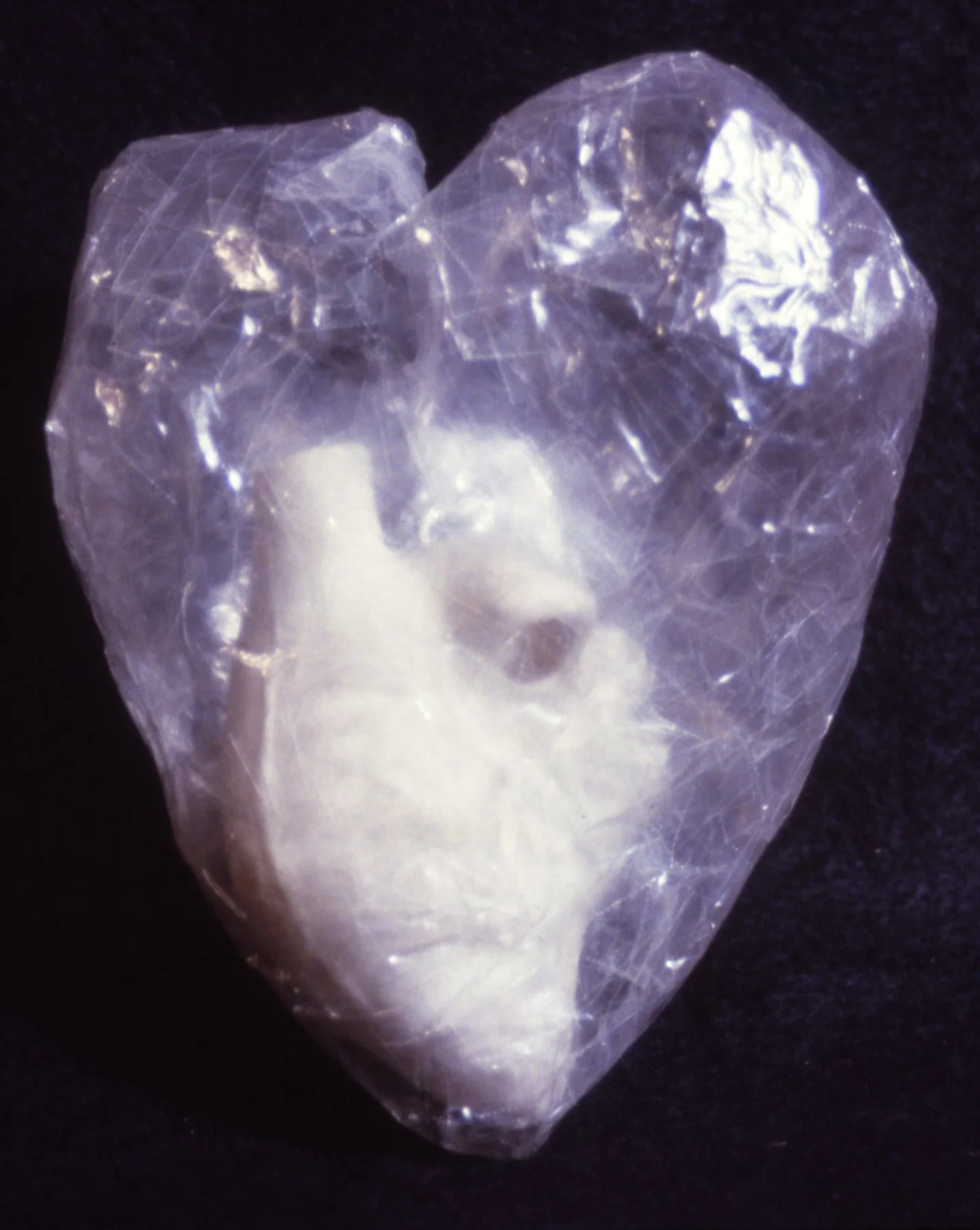 'Echos Love', porcelain heart, scotch tape heart, 9" x 30" x 6"