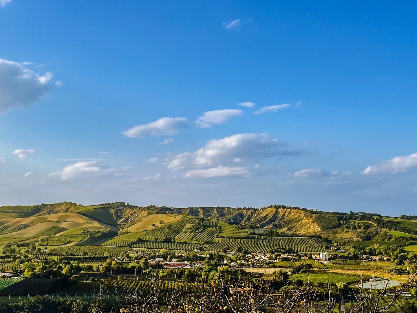 📍 POV: You&rsquo;re sipping Albana at golden hour and thinking, &ldquo;Why didn&rsquo;t I come here sooner?&rdquo;

🍇 Welcome to Marzeno &mdash; where the hills roll like waves and the vines grow with a view.
It&rsquo;s not just about what&rsquo;s 