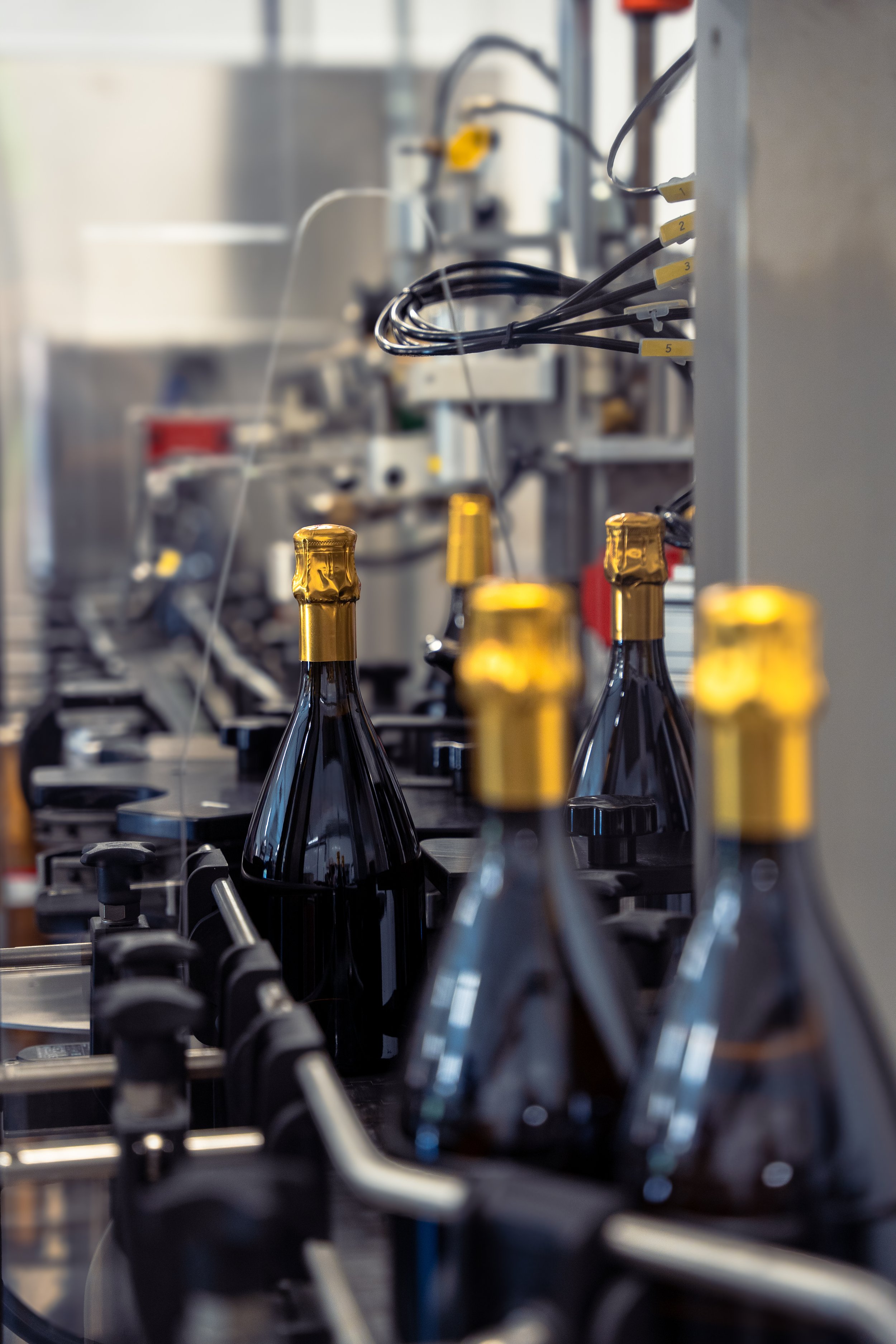 Cantina della Volta 2024-2.jpg