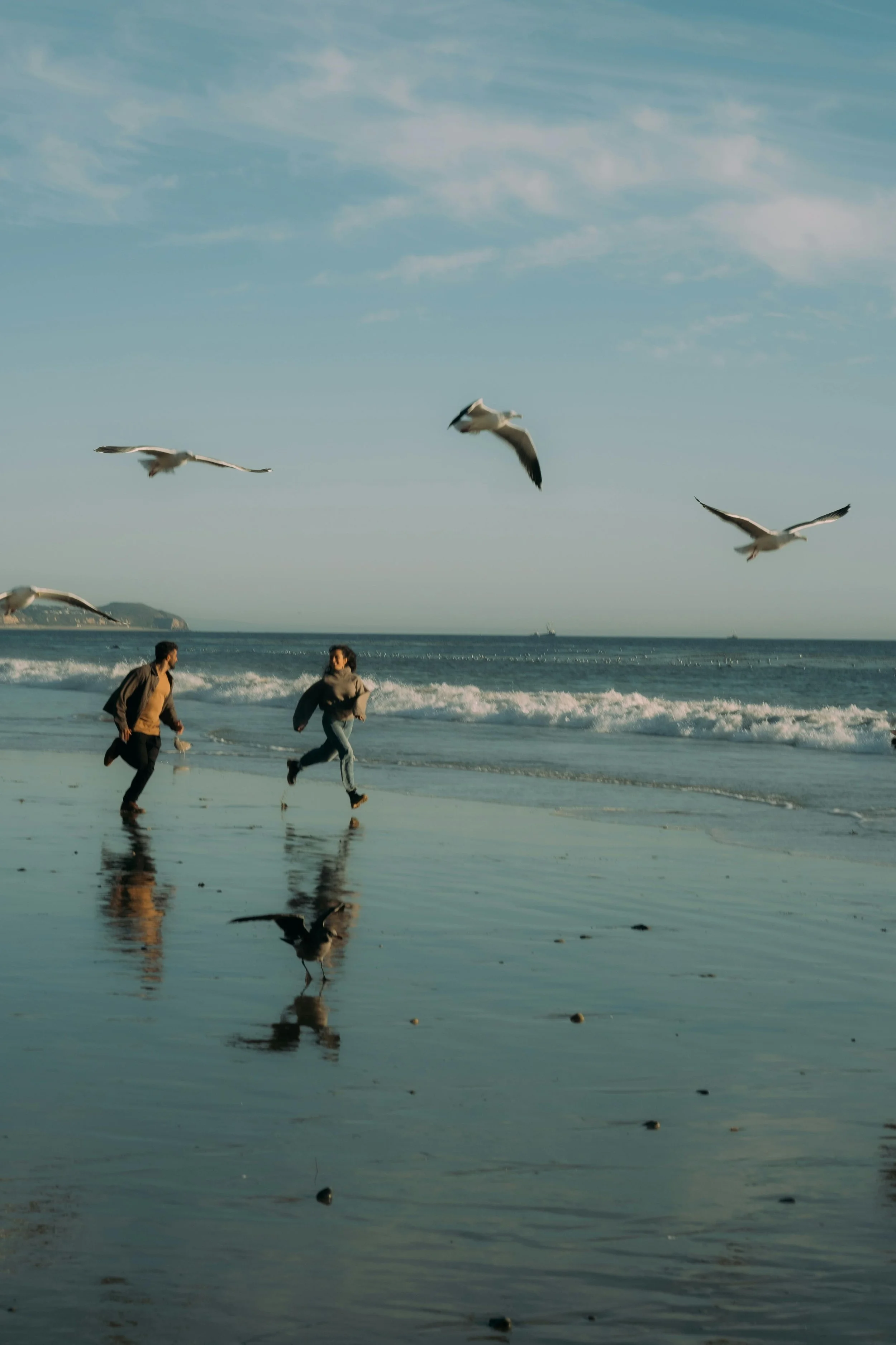 Two people running along the shoreline of the beach with seagulls flying overhead and the ocean in the background.