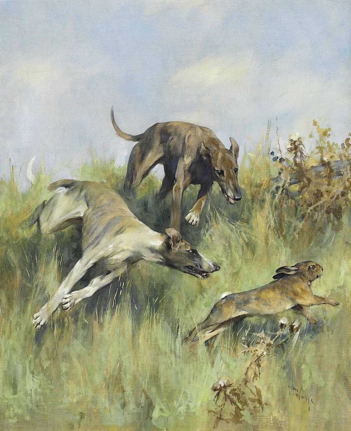 Sighthounds