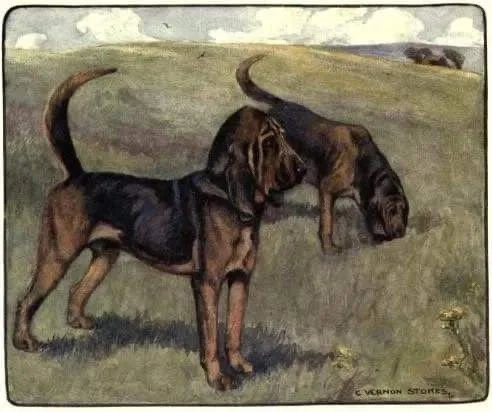 Scenthounds