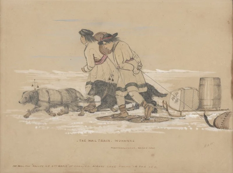 Sled Dogs
