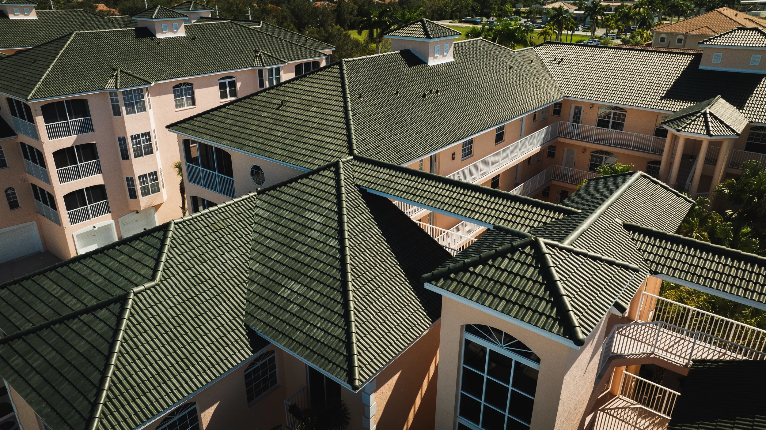 1600 Gondola Park Dr. Venice FL- Pine Green_4.jpg