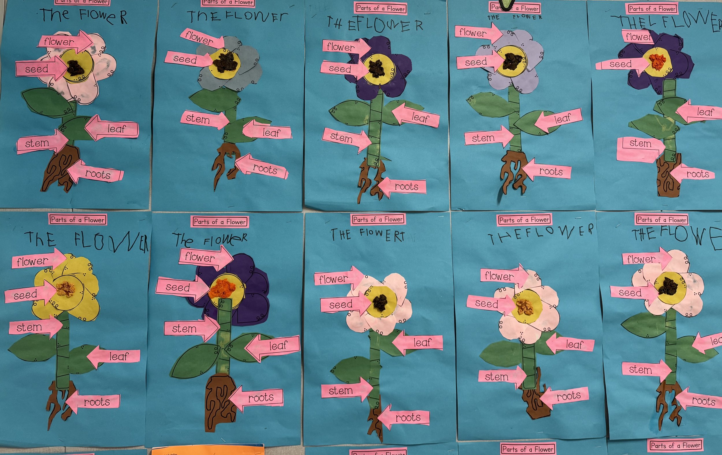 Identifying and labeling the parts of a flower for Spring. Students were able to incorporate writing by labeling their art “The Flower.”