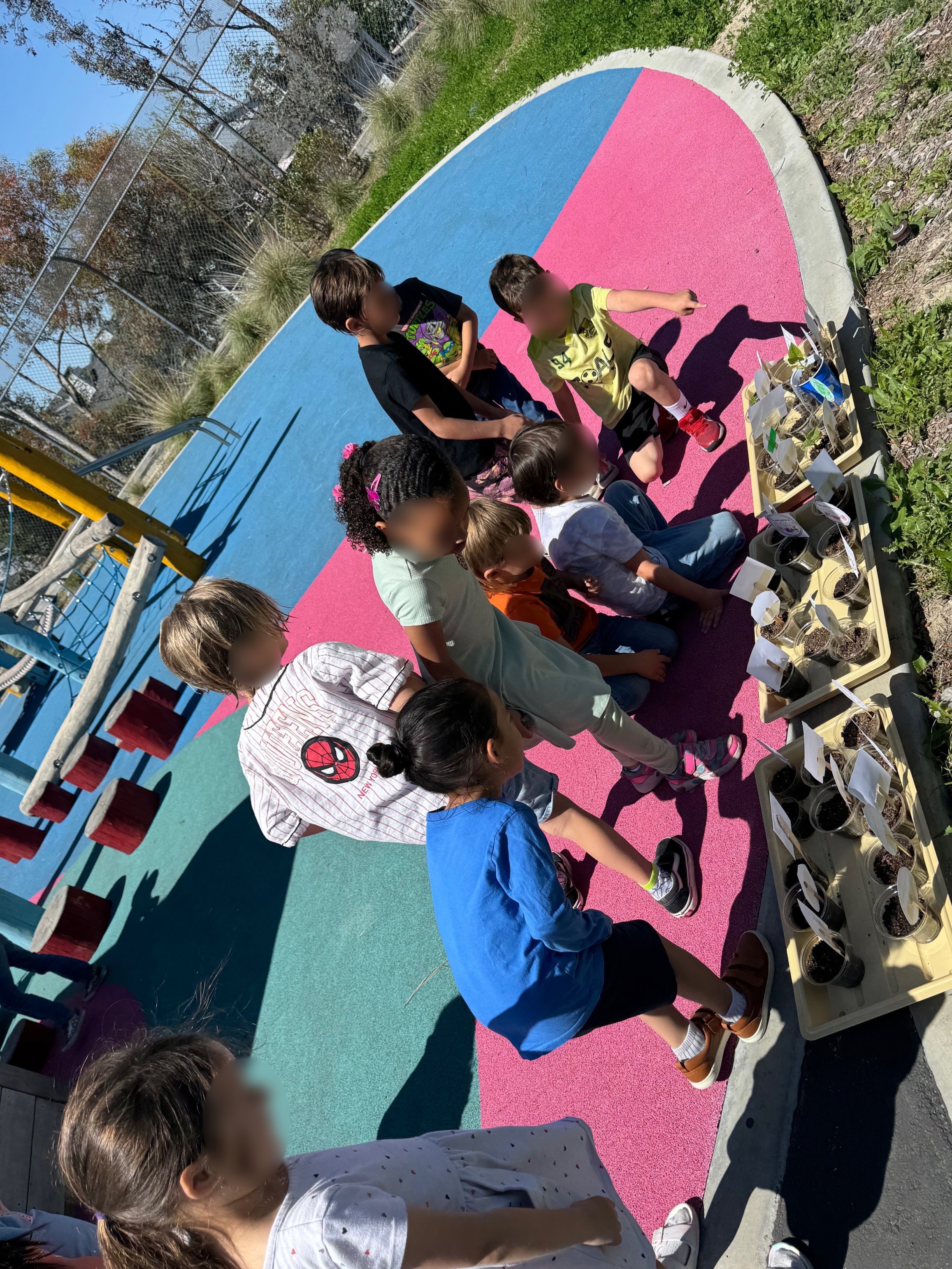 My scientists observing their Lima bean plants they are growing as we learn about the life cycle of Lima beans.