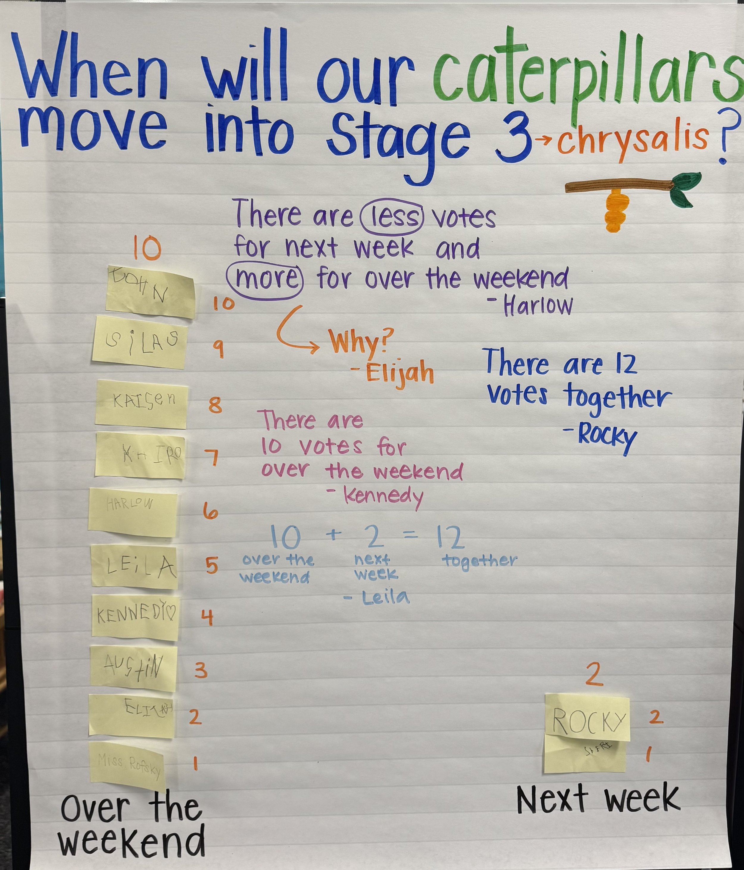 We collected class data on when our caterpillars would move into their chrysalis stage as we observed their life cycle for science. Our class did a notice and wonder math routine as we analyzed our data!