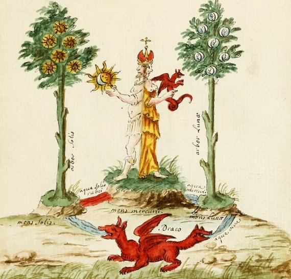 PSYCHIC SAUCE: Alchemical Distillation and Plant Communication *FREE