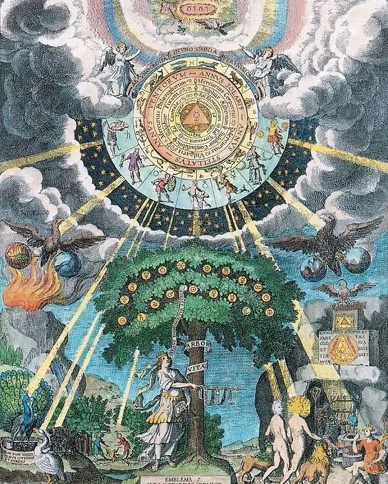 The Star Inside: Alchemy and the Power of Plants